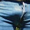 foto do perfil guilherme justo